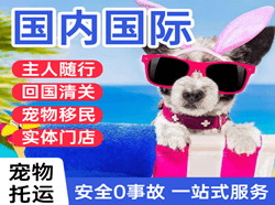 太原航空物流国际宠物托运 【国